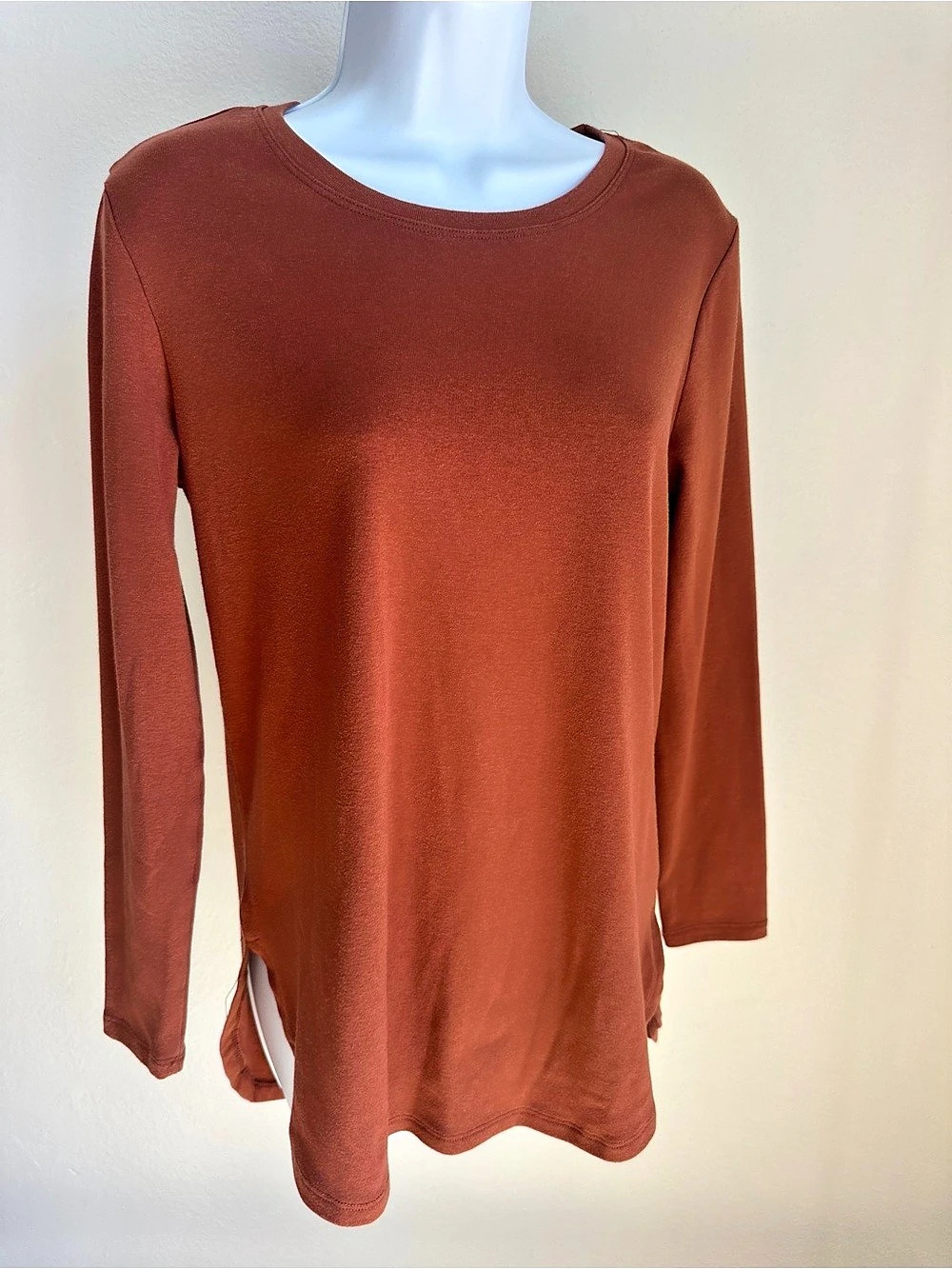 Long Sleeve Top in Rust color Size Small Like New